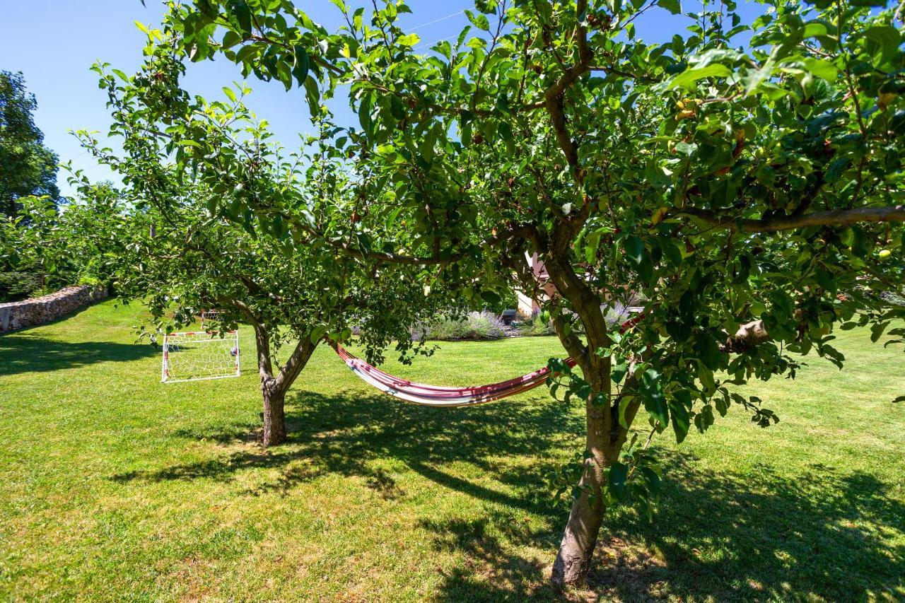 Villa Krizanci Žminj Eksteriør billede