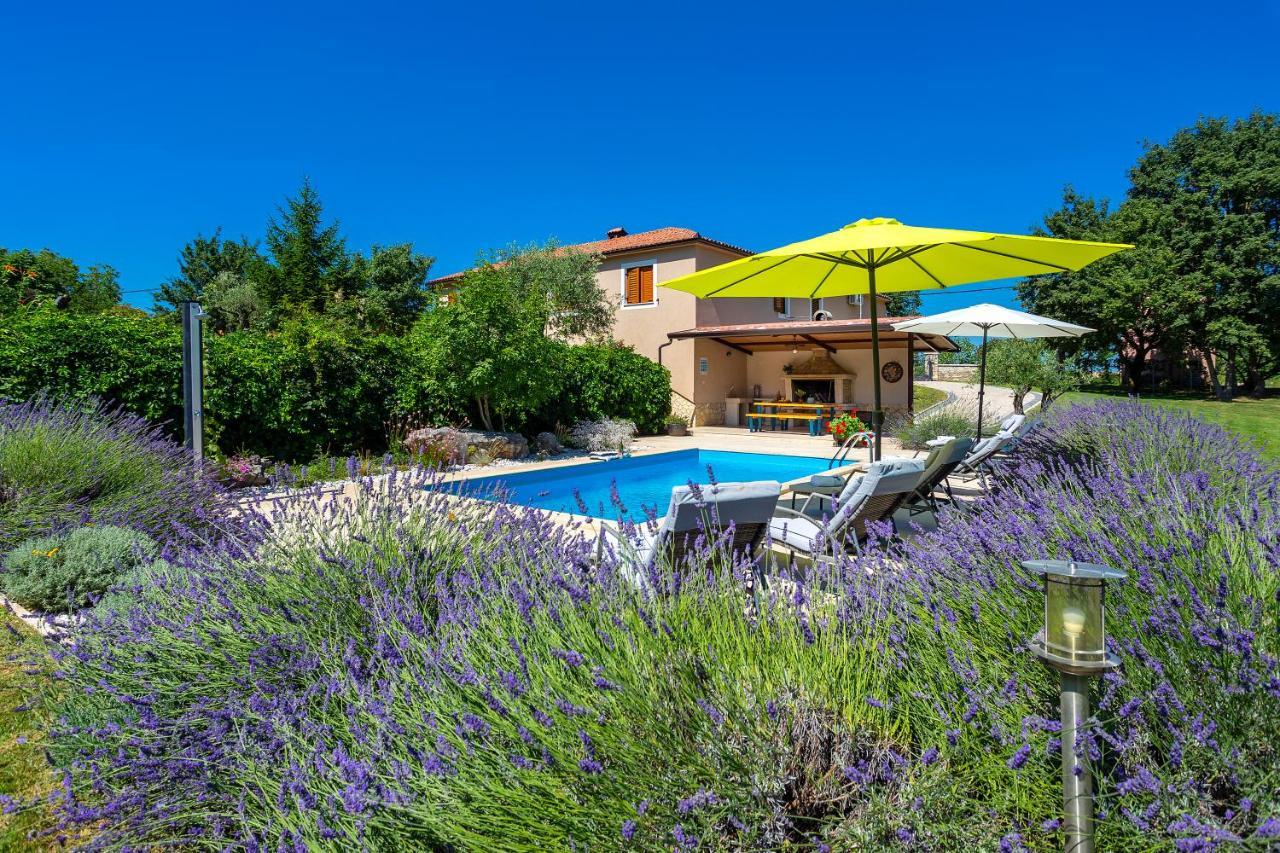 Villa Krizanci Žminj Eksteriør billede